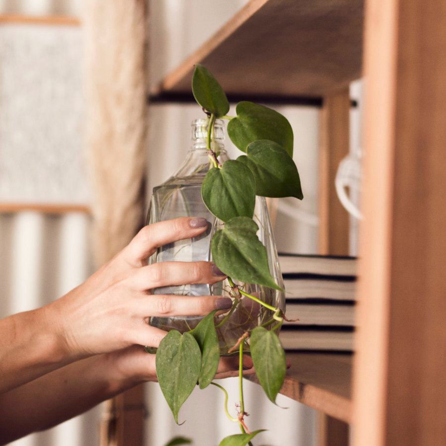 innovacion-y-tecnologia-en-fragancias-para-el-hogar